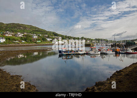 Loch Fyne with boats in harbour, houses on green hillside and blue sky reflected in calm water at town of Tarbert, Argyll and Bute, Scotland Stock Photo