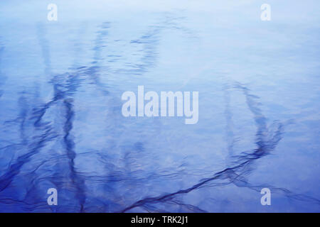 The branches of trees are reflected in the azure water surface. Because of the wind on the water is rippling, which distorts the reflection. Stock Photo