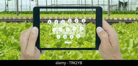 smart agriculture with technoloty concept, farmer use deep learning with artificial intelligence to classification, regression, and clustering. In far Stock Photo