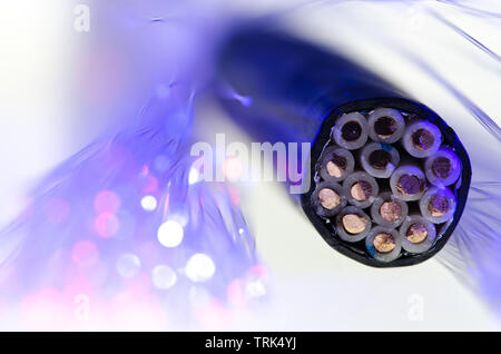Cross section of control cable Stock Photo
