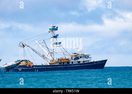 The Don Mario is a 165 foot long Equadorian, purse seine, commercial fishing vessel. It is pictured here at anchor in Academy Bay, off Puerto Ayora, t Stock Photo