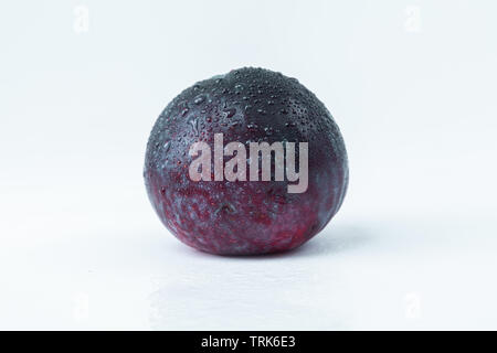 One fresh and wet plum isolated on white background Stock Photo