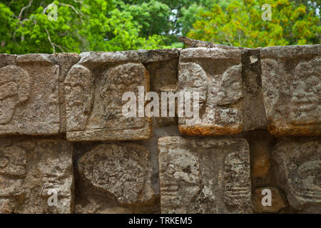 Iguana en la Plataforma de los Cráneos o Tzompantli. Yacimiento Arqueológico Maya de Chichén Itzá. Estado de Yucatán, Península de Yucatán, México, Am Stock Photo