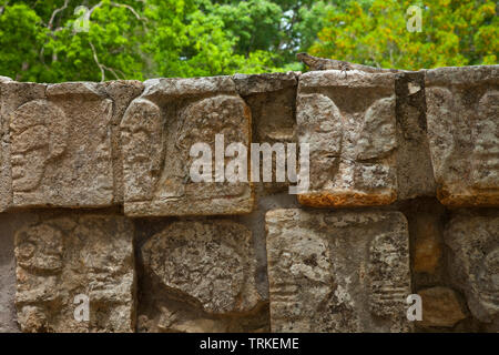 Iguana en la Plataforma de los Cráneos o Tzompantli. Yacimiento Arqueológico Maya de Chichén Itzá. Estado de Yucatán, Península de Yucatán, México, Am Stock Photo