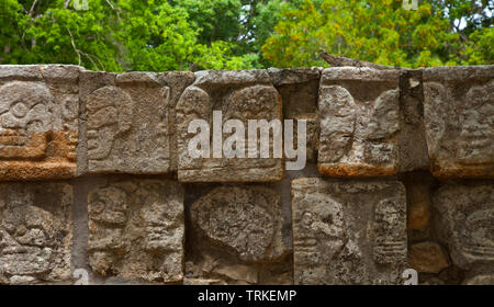 Iguana en la Plataforma de los Cráneos o Tzompantli. Yacimiento Arqueológico Maya de Chichén Itzá. Estado de Yucatán, Península de Yucatán, México, Am Stock Photo