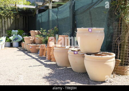 June 2019. Large terracotta planting pots for sale, Exeter, UK Stock Photo