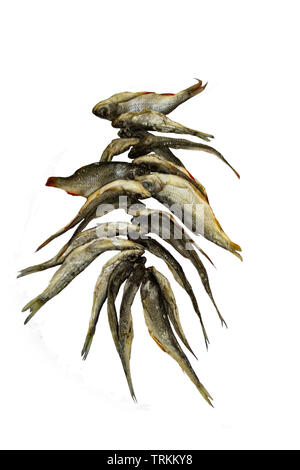 The photo of dry fish bunch isolated Stock Photo