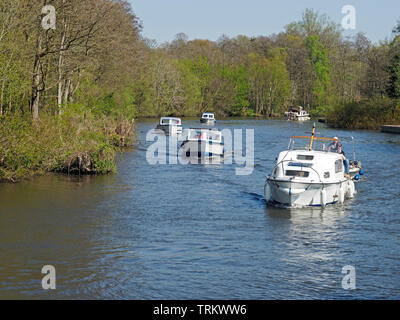 Motor cruisers and day boats enjoy a sunny day on the River Bure near Wroxham on the Norfolk Broads. Stock Photo