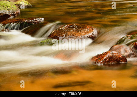 Close-up of a mountain river in the forest. Water currents streaming over amber-colored and green mossy rocks. Long exposure, capturing motion. Stock Photo
