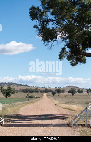 A long straight narrow dirt road with a cattle grid in the foreground and pasture either side on a property in New South Wales, Australia Stock Photo