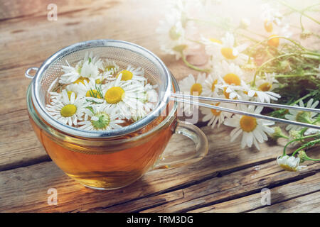 Daisy flowers in tea infuser and healthy chamomile herbal tea cup. Stock Photo