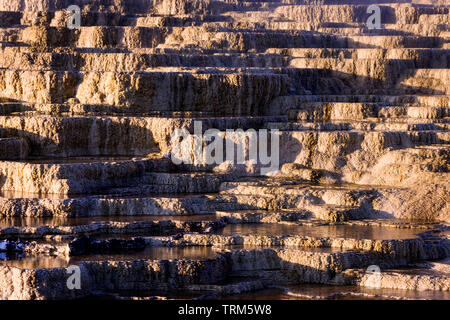 Minerva Terrace in Mammoth Hot Springs at Yellowstone National Park. Stock Photo