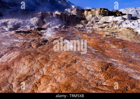 Minerva Terrace in Mammoth Hot Springs at Yellowstone National Park. Stock Photo