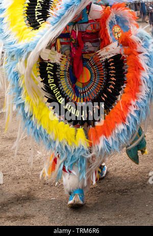Close up of an orange, yellow, blue and white feather and multicolored quill bead bustle worn by a Native American fancy dancer at a pow wow. Stock Photo
