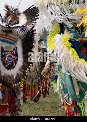 Two rows of fancy dancers entering a pow wow wearing feathered headdresses and bustles at Crow Fair. Stock Photo