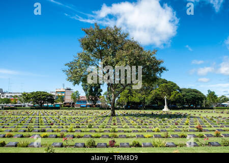 Tree on cemetery headstone christian vitmics of world war II at Kanchanaburi, Thailand Stock Photo