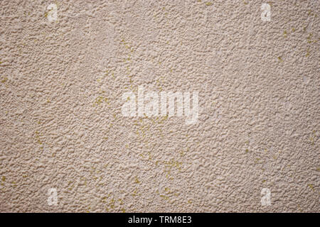 Stucco texture of stone wall in the room. The texture of a light beige stone with a rough surface. Background with space Stock Photo