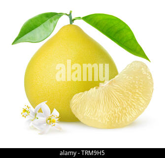 Isolated pomelo citrus fruit. One whole pomelo and a peeled segment with leaves and flowers isolated on white background with clipping path Stock Photo