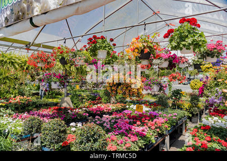 Atwater Market scenes Stock Photo