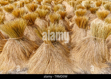 Stacks of harvested rice at Jatiluwih rice terraces. Rural landscape. Tabanan, Bali, Indonesia Stock Photo