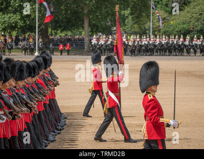 Horse Guards Parade. 8th June 2019. Trooping the Colour, the Queen’s Birthday Parade, London, UK. Credit: Malcolm Park/Alamy Stock Photo