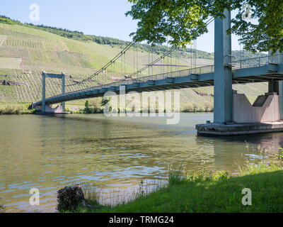 Wehlen Suspension Bridge, Mosel, Germany. The only suspension bridge along the Moselle. Stock Photo