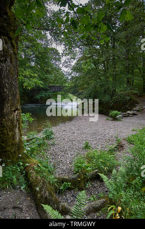 Clappersgate Bridge over the River Brathay, Near Clappersgate, Ambleside, Lake District, Cumbria, England, UK, GB. Stock Photo