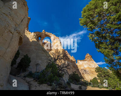 Grosvenor Arch, Cottonwood Wash Road 400, Grand Staircase-Escalante National Monument south of Cannonville, Utah. Stock Photo