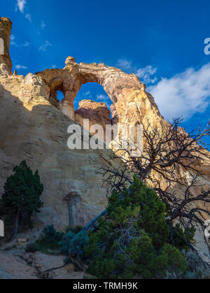 Grosvenor Arch, Cottonwood Wash Road 400, Grand Staircase-Escalante National Monument south of Cannonville, Utah. Stock Photo