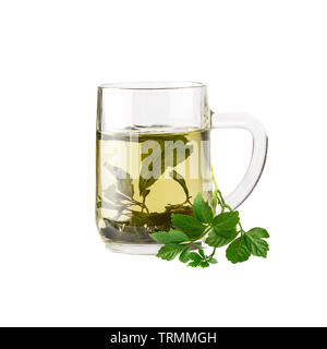 Chinese herb tea Jiaogulan Miracle grass. Image included clipping path Stock Photo