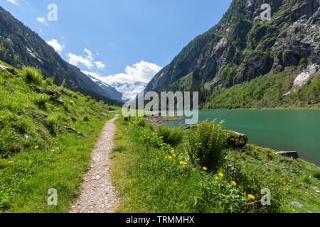 Path through spring mountains landscape near alpine lake. Stillup, Stillup Lake, Austria, Tyrol Stock Photo