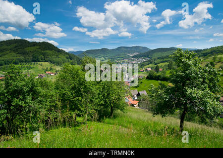 Landscape around Ottenhoefen in the Black Forest in germany Stock Photo