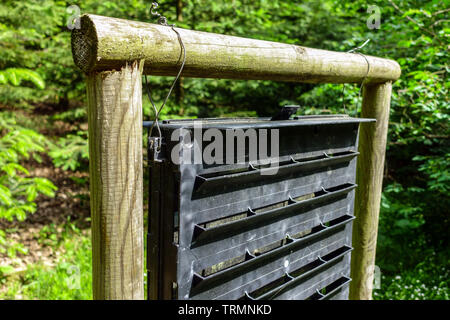 Pheromone trap, bark beetle trap Stock Photo