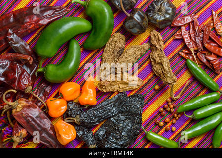 Chile peppers of Mexico, food ingredients and spices. Stock Photo