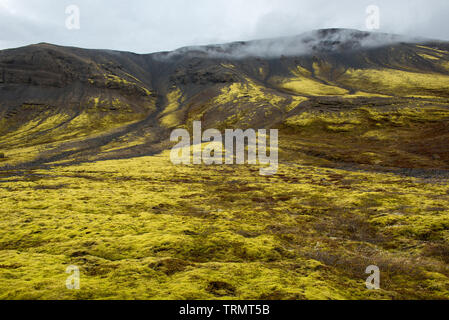 Eldhraun lava field, flow and ridge covered with green moss in Iceland Stock Photo