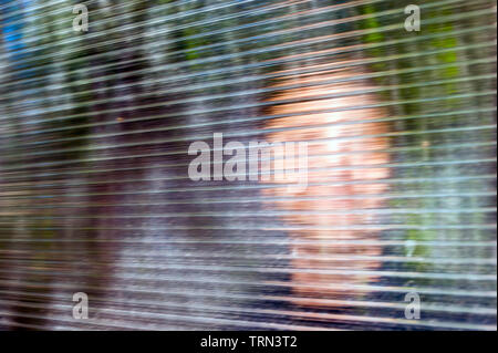 Blurred Smiling Young Face behind Dusty Fluted, Ribbed Glass or Clear Polycarbonate Corrugated Sheet. Online Anonymous, Anon Communication, False Iden Stock Photo