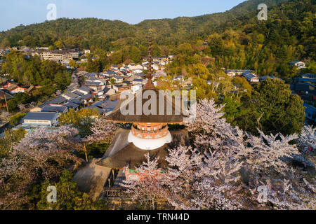 Asia, Japan, Honshu, Hiroshima prefecture, Miyajima island, pagoda and spring cherry blossom Stock Photo