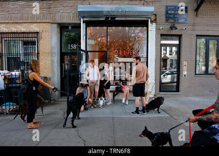 Ollie's Ice Cream + Stuff, 158 Irving Avenue, Brooklyn, NY. exterior storefront of pet friendly ice cream shop in the Bushwick neighborhood Stock Photo