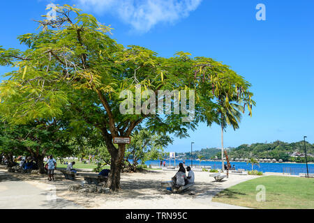 Locals relaxing underneath a Poinciana or Christmans Tree in a park on the foreshore of Port Vila, Vanuatu, Melanesia Stock Photo