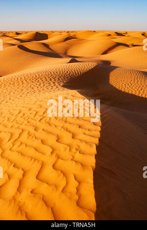 Sand dunes with a pattern of ripples in the evening under a bright sky. Sahara Desert, Tunisia, Africa. Stock Photo