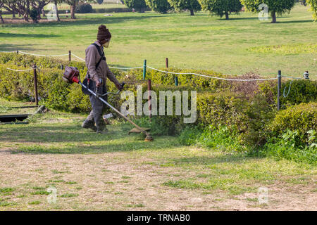 Man cutting grass with grass cutting machine Stock Photo