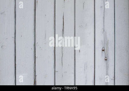 white wooden background with vertical lines Stock Photo