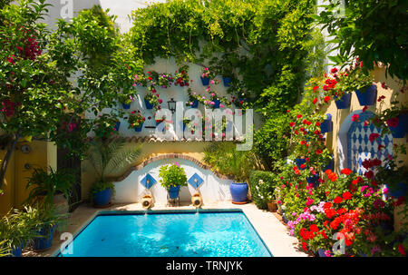 traditional flower-decorated patio in cordoba, spain, duriing the Festival de los Patios Cordobeses Stock Photo