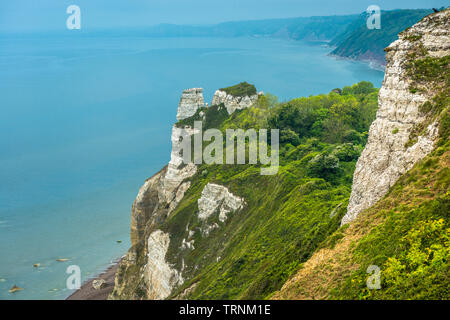 Beer Head looking towards Branscombe Mouth,the undercliff is a nature paradise within chalk cliffs.Devon, UK Stock Photo