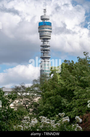 Iconic BT Tower owned by the BT Group, seen from Park Square and Park Cresent gardens. Photographed during the London Open Garden Squares weekend Stock Photo