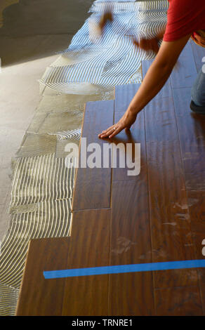 Installation of new engineered wood flooring Stock Photo