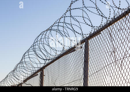 Coils of razor wire on top of a wire mesh fence, against a blue sky