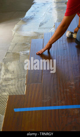 Installation of new engineered wood flooring Stock Photo