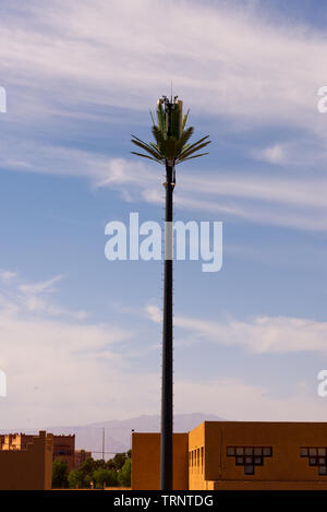 cellphone broadcasting tower disguised as palm tree, morocco Stock Photo