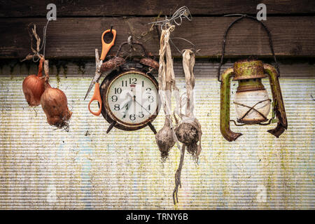 Old clock, broken lantern scissors and dried onions and garlic hanging in a garden shed Stock Photo